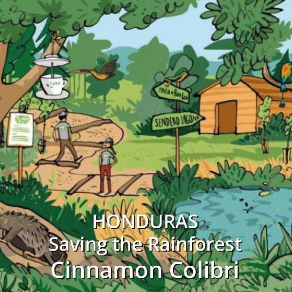 Reservat Honduras - Saving the Rainforest - Cinnamon Colibri