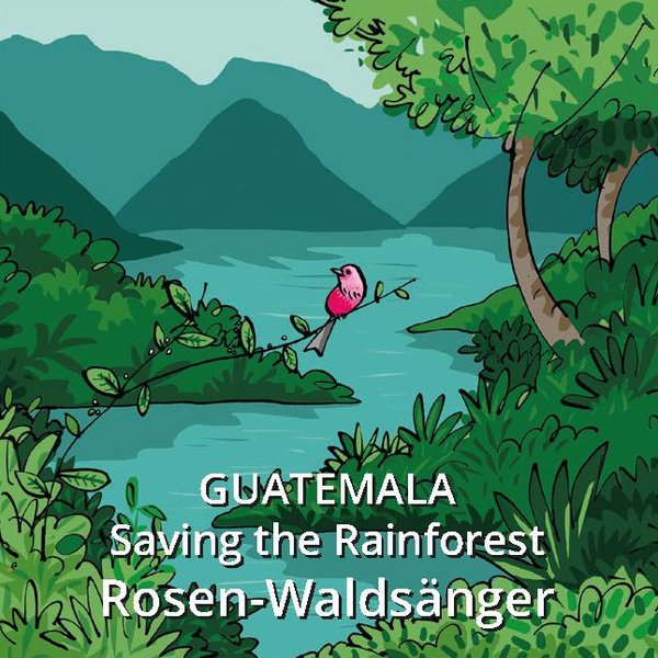 Reservat Guatemala - Saving the Rainforest - Rosen Waldsänger