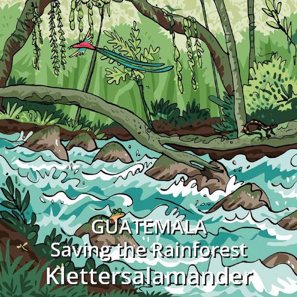 Reservat Guatemala - Saving the Rainforest - Klettersalamander